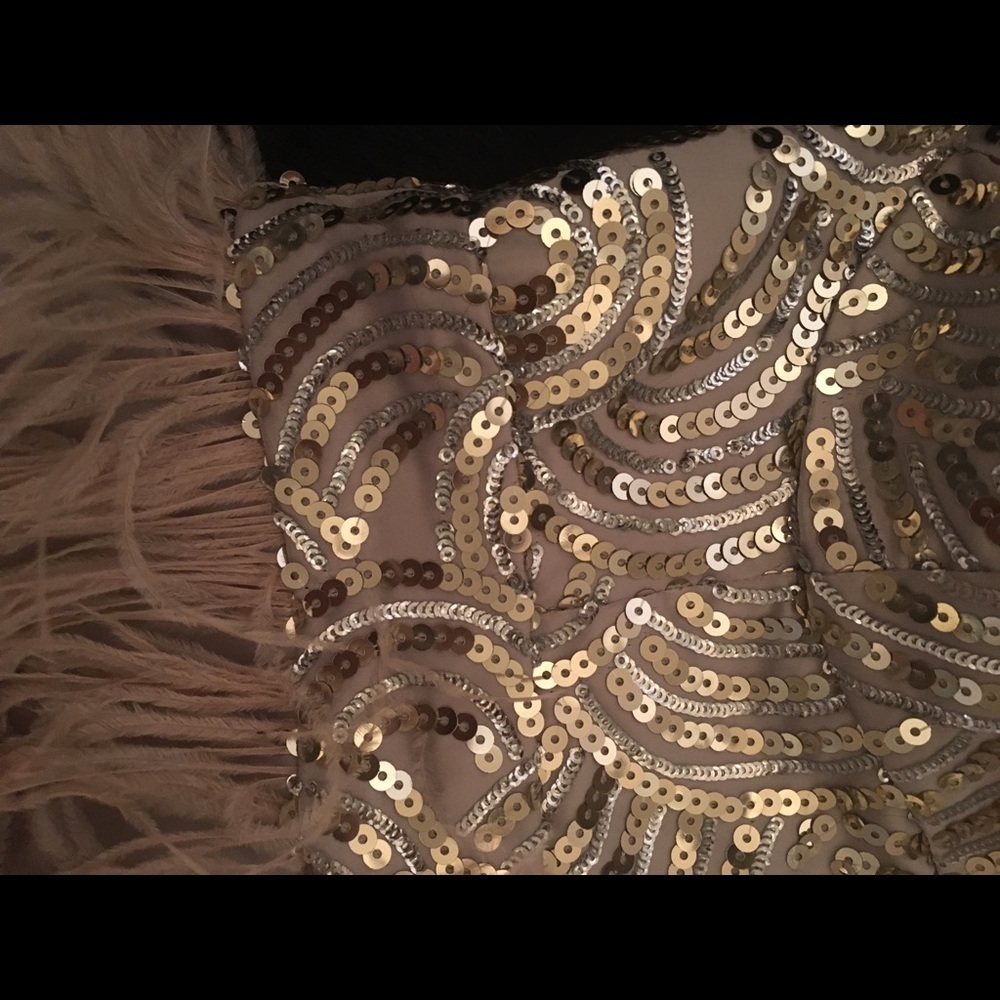 Stunning Bebe feather and sequin dress - Picture 8 of 8